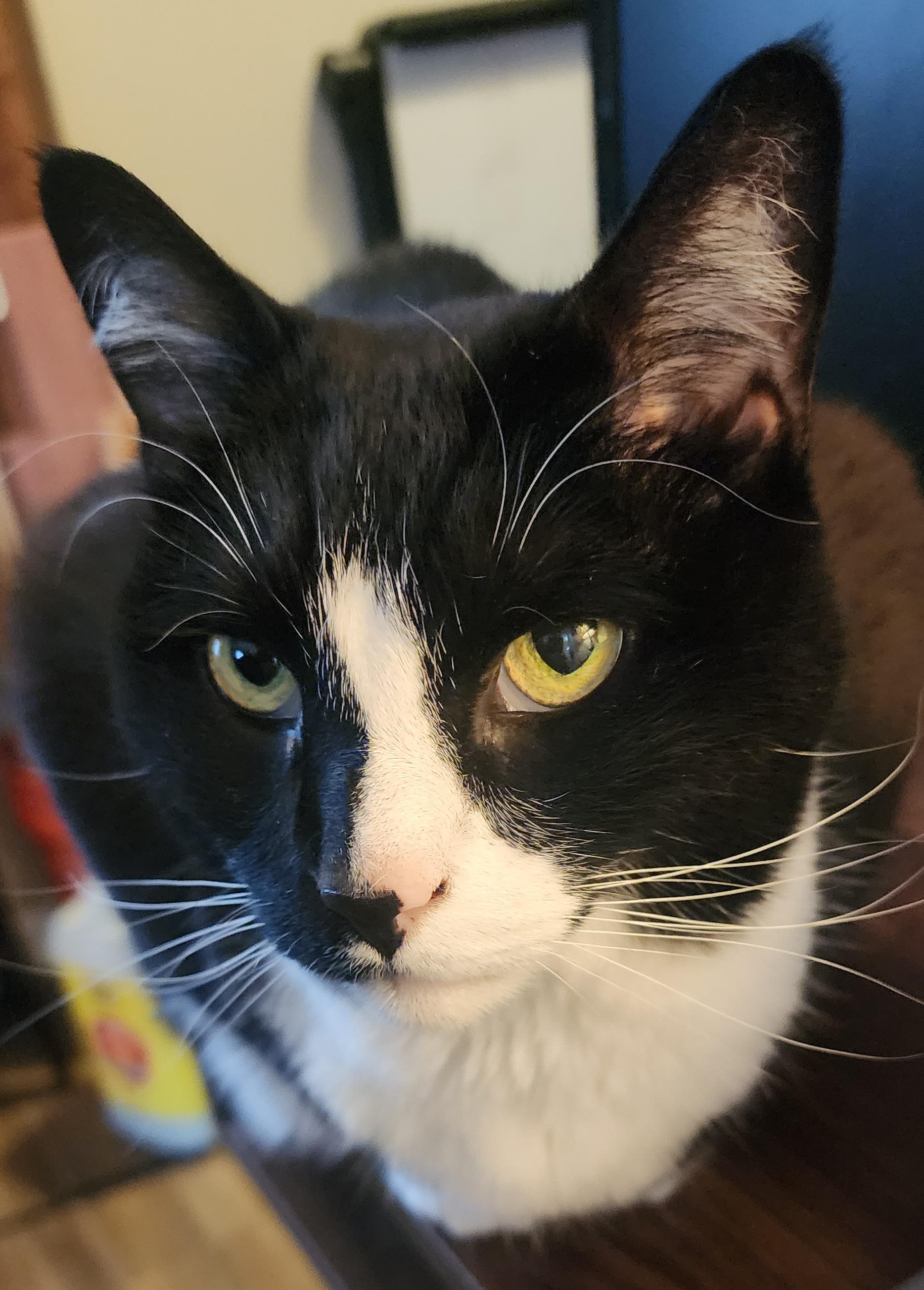 Carl has no reservations about dominating you with his eyes Carl is in your face